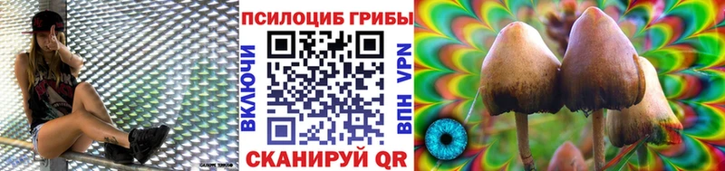 хочу   Серафимович  Галлюциногенные грибы MAGIC MUSHROOMS 